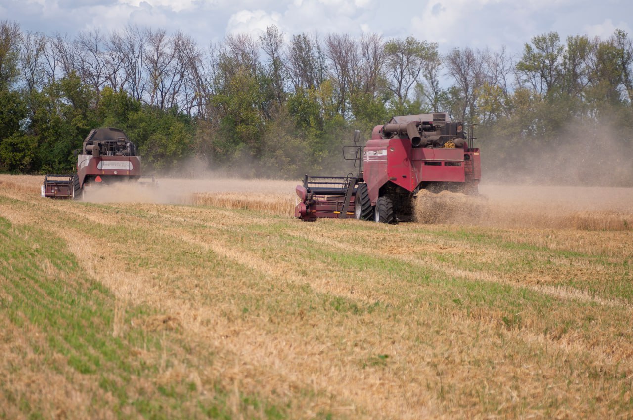 Зарплата сельских работников в Саратовской области достигла 63,5 тысячи рублей
